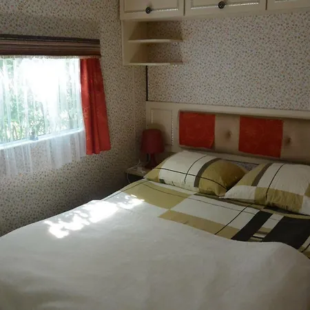 Zacisze ミコシェボ