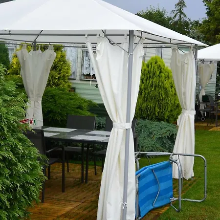 Zacisze ミコシェボ