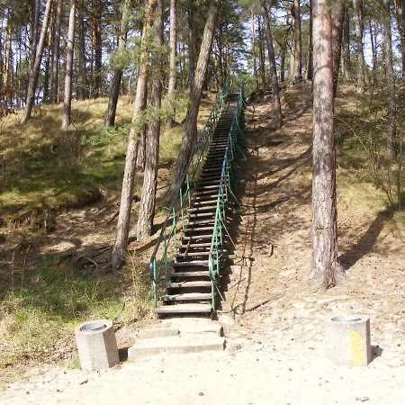 Zacisze ミコシェボ